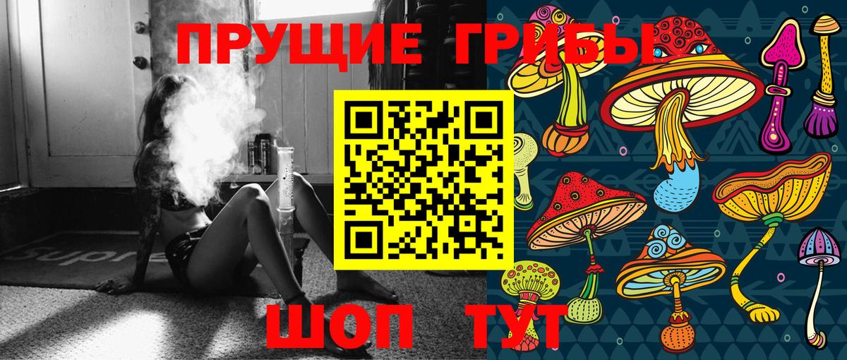 Псилоцибиновые грибы GOLDEN TEACHER Ростов Великий